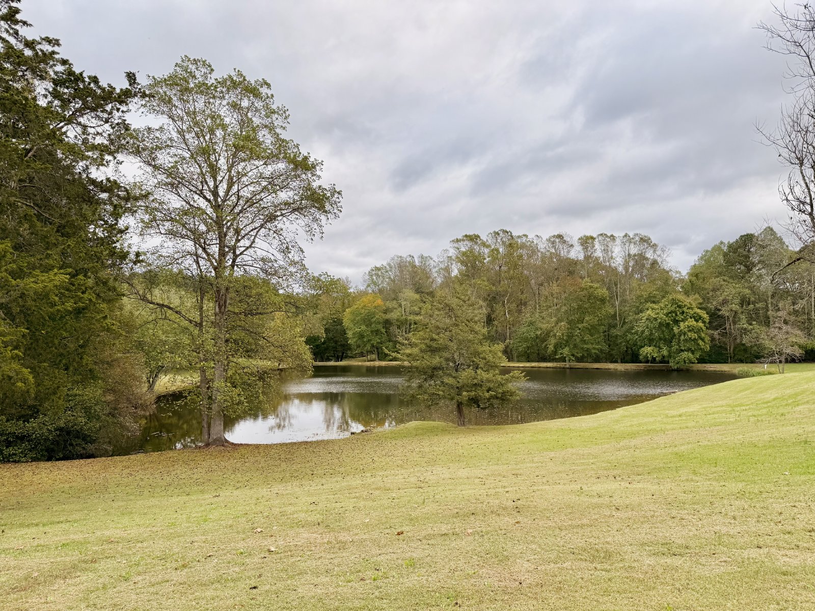 Renovated 1 Bedroom/1 Bathroom Home with Covered Back Porch property image