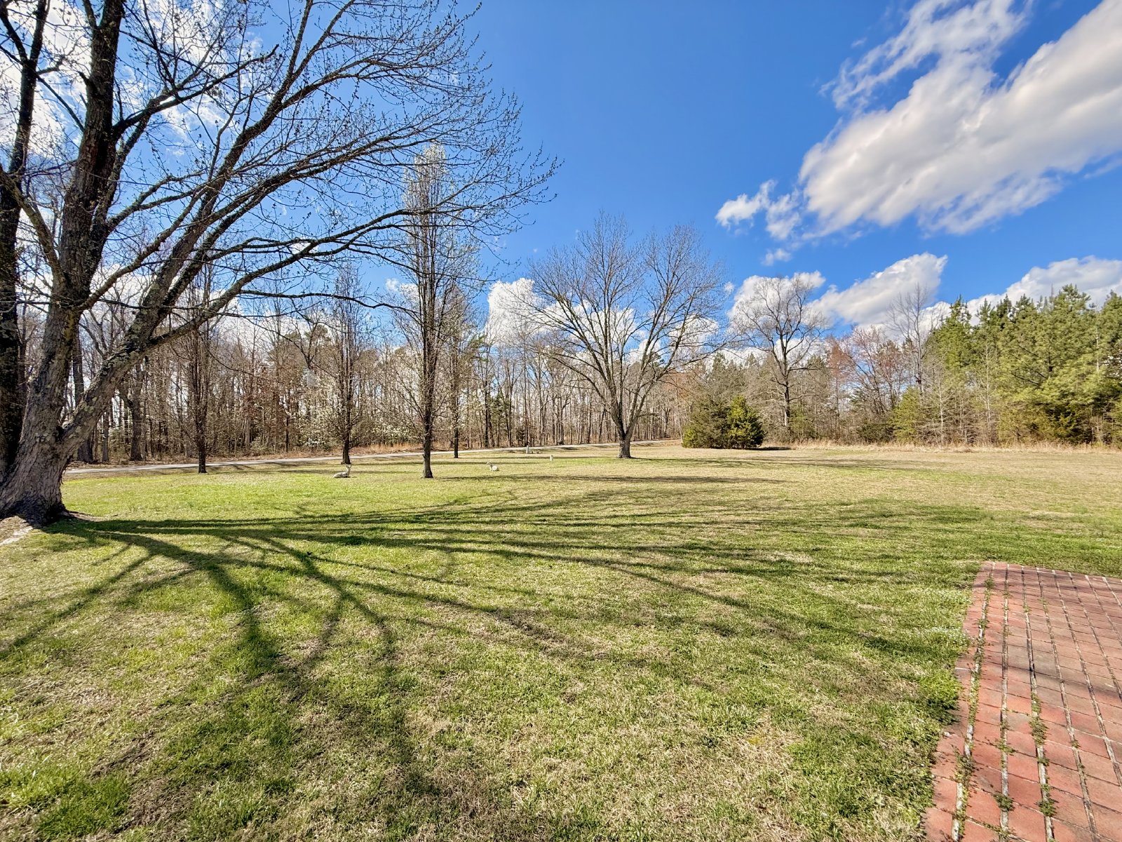 Charming 3 Bedroom Home for Rent! property image