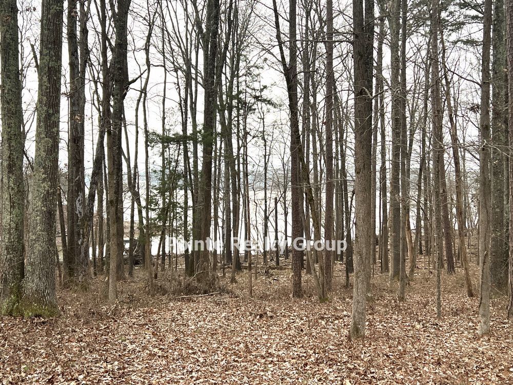 Furnished & All Inclusive Rental with Lake View-SHORT TERM LEASING!! property image