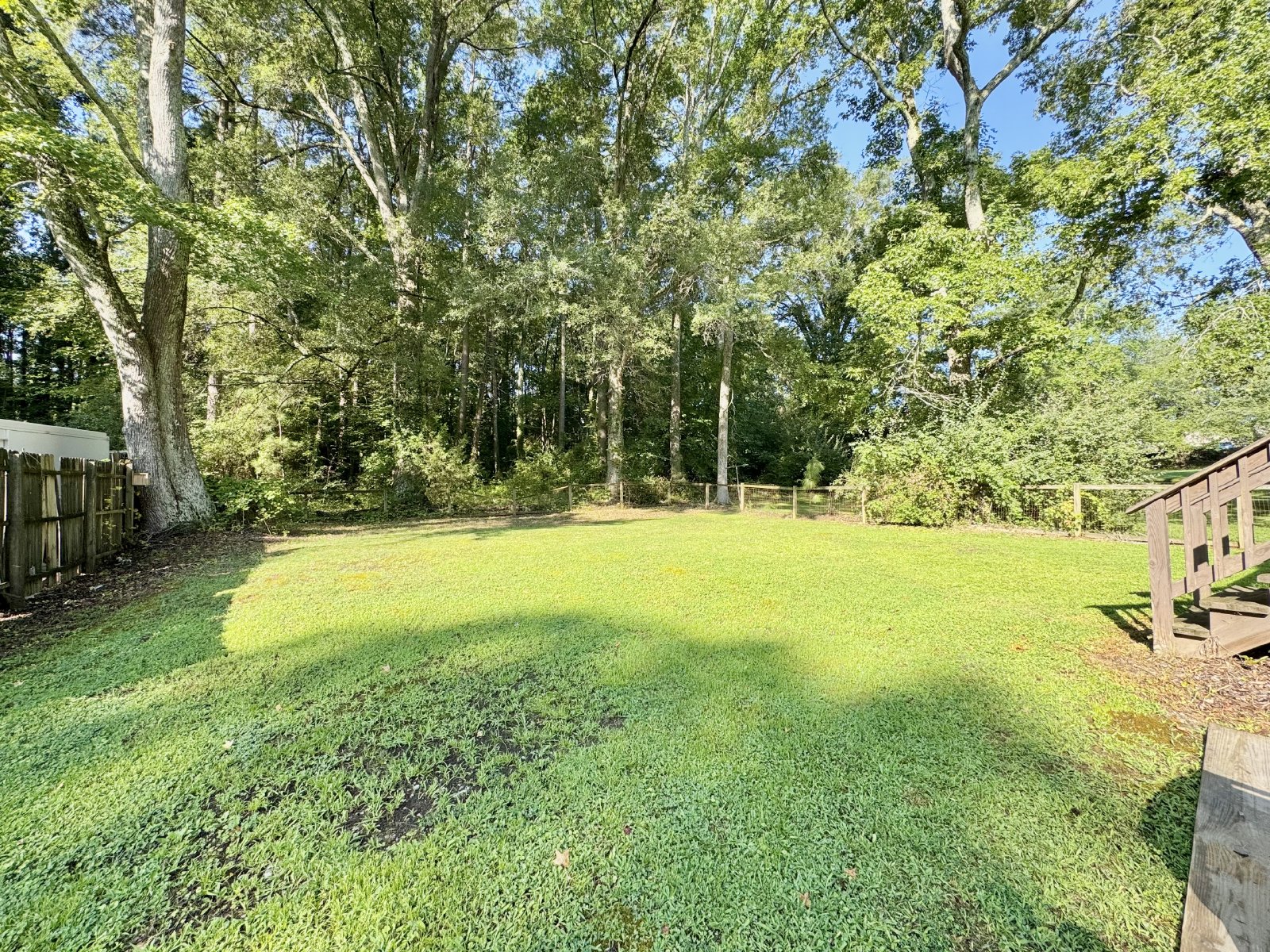 Adorable South Hill Charmer property image